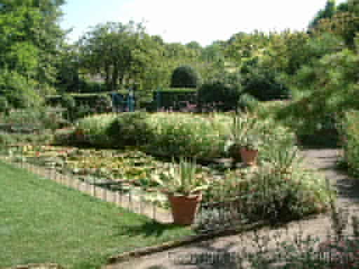 Lily pond_2 Hidcote